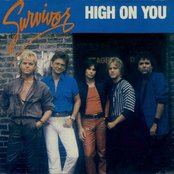 Survivor - List pictures