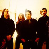 Officer Negative - List pictures