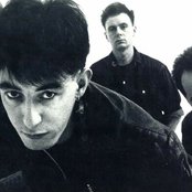 The Mighty Lemon Drops - List pictures