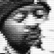 Transllusion - List pictures