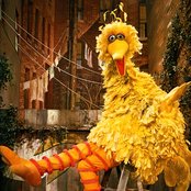 Sesame Street - List pictures