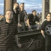 Forgive-me-not - List pictures