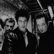 Virgos Merlot - List pictures