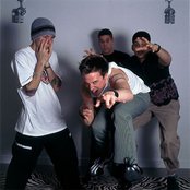 Pezz - List pictures