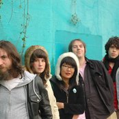 The Pink Mountaintops - List pictures