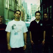 Dogwood - List pictures