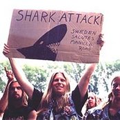 Manilla Road - List pictures