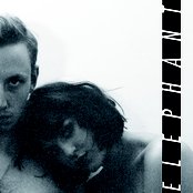 Elephant - List pictures