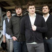 Seabird - List pictures