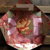 The Casket Lottery - List pictures