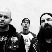 Transplants - List pictures