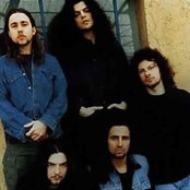 Timoria - List pictures