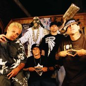 Kottonmouth Kings - List pictures