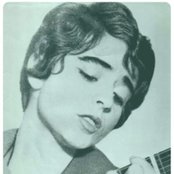 Cecilia - List pictures