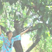 French For Rabbits - List pictures