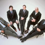 Tortoise - List pictures