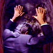 Lilacs & Champagne - List pictures