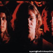 Pig Destroyer - List pictures