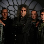 Iris - List pictures