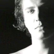 The Beloved - List pictures