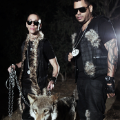 Baby Rasta & Gringo - List pictures