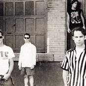 Wrens - List pictures