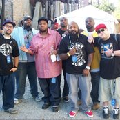 Sean Falyon - List pictures