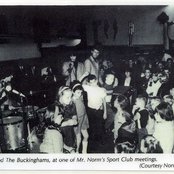 The Buckinghams - List pictures