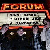 Night Birds - List pictures