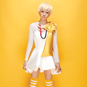 Fat Cat - List pictures