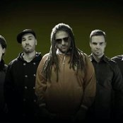 Dominic Balli - List pictures