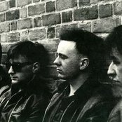 The Mighty Lemon Drops - List pictures