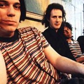 Flaming Lips - List pictures