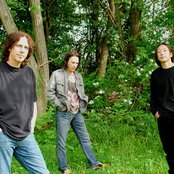 The Jelly Jam - List pictures