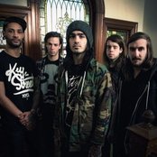 Like Moths To Flames - List pictures