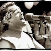 Mike Stout - List pictures