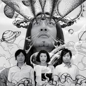 Bonobos - List pictures