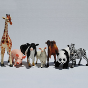 Zoo Seven - List pictures