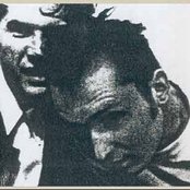 Tarwater - List pictures