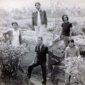 Padi - List pictures