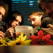 Black Light Burns - List pictures