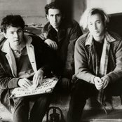 Grant Lee Buffalo - List pictures