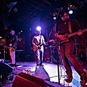 Flower - List pictures