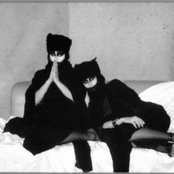 Saada Bonaire - List pictures