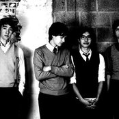 Morning Benders - List pictures