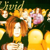 Vivid - List pictures