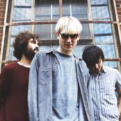 Dinosaur Pile-up - List pictures