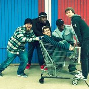 Shrub - List pictures