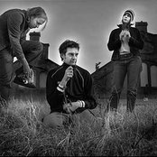 Caesar - List pictures