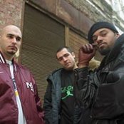 Zale - List pictures